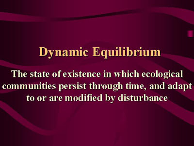 Dynamic Equilibrium: The state of existance in which ecological communities persist through time, and adapt to or are modified by disturbance.