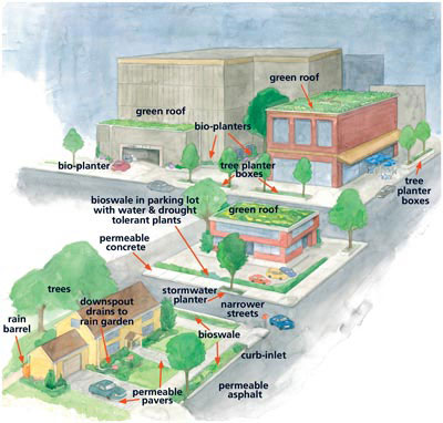 Illustration of green building and landscape designs in urban and suburban settings. Green building design examples include green roofs, permeable concrete and pavers, rain barrels, tree planter boxes, rain gardens,  bioswales, and curb-inlets.