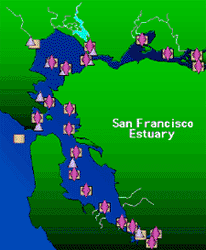 illustration of San Francisco Estuary