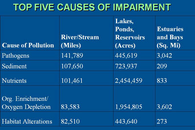 Table showing Top Five Causes of Impairment