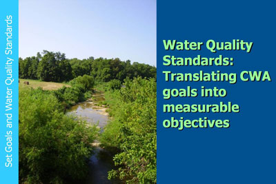 Water Quality Standards: Translating CWA goals into measurable objectives