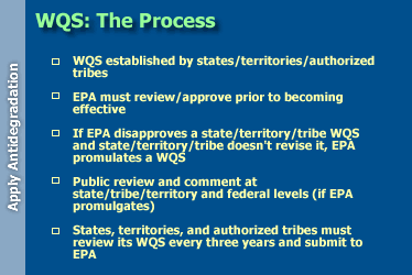 WQS: The Process--WQS established by states/territories/authorized tribes; EPA must review/approve prior to becoming effective; if EPA disapproves a state/territory/tribe WQS and state/territory/tribe doesn't revise it, EPA promulgates a WQS; public review and comment at state/tribe/territory and federal levels (if EPA promulgates); and states, territories, and authorized tribes must review its WQS every three years and submit to EPA
