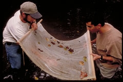 Photo showing volunteers engaging in watershed protection activities.