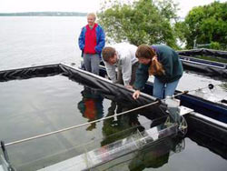 Photo showing an eelgrass mariculture facility was constructed with EPA Targeted Watershed Initiative grant funds.