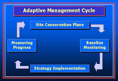 The Adaptive Management Cycle