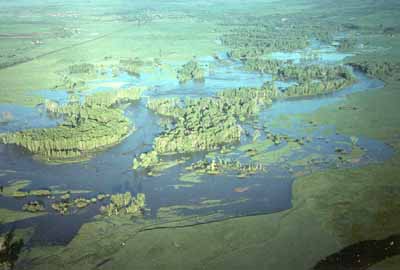 aerial photo of flooded land
