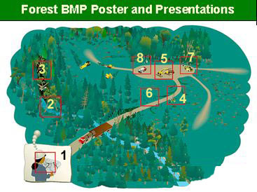 Forest BMP Poster and Presentations