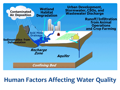 Human factors that affect water quality include contaminated air deposition, sedimentation from deforestation, acid mine drainage, wetland habitat degradation, urban development (stormwater, CSOs, and wastewater discharge), and runoff/infiltration from animal operations and crop farming.