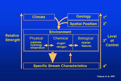 specific stream characteristics