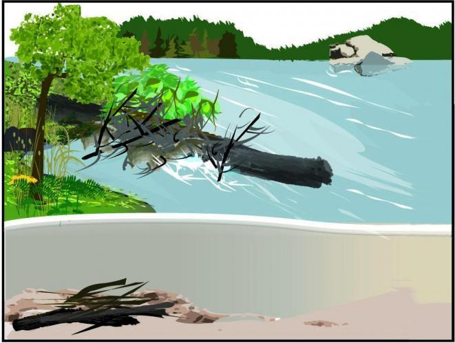 graphic illustrating an example BCG level 1