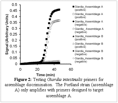 Text Box:  Figure 2: Testing Giardia intestinalis primers for assemblage discrimination.  The Portland strain (assemblage A) only amplifies with primers designed to target assemblage A.