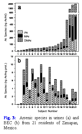 Text Box:
Fig. 3:  Arsenic species in urines (a) and BEC (b) from 21 residents of Zimapan, Mexico.