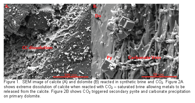 Text Box:  
Figure 2.  SEM image of calcite (A) and dolomite (B) reacted in synthetic brine and CO2. Figure 2A shows extreme dissolution of calcite when reacted with CO2  saturated brine allowing metals to be released from the calcite. Figure 2B shows CO2 triggered secondary pyrite and carbonate precipitation on primary dolomite.

