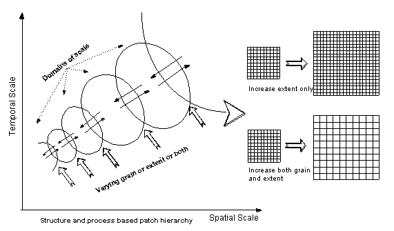Illustration of the Hierarchical Patch Dynamics Scaling