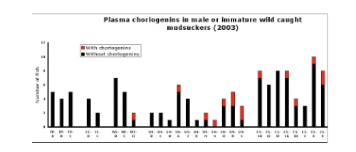 Presence or Absence of Choriogenins in Plasma of Male or Immature
  (No Gonad) Mudsuckers. As expected, Toms Point (TP) and China Camp (CC) show no response. 
  Specific stations at Stege and Carpenteria show an endocrine disrupting chemical
  response