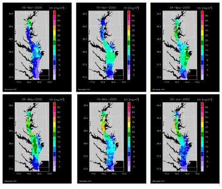 Distributions in Chesapeake Bay From Aircraft Remote Sensing of Ocean Color Using SAS III for Six Dates in Spring-Summer 2000
