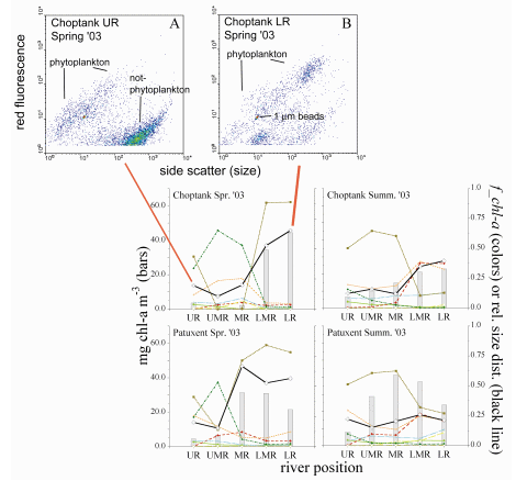 Spring and summer Chl-a Biomass 