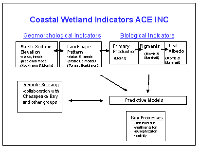Schematic of the Structure, Elements, and Principal Scientists of Coastal Wetland Indicators