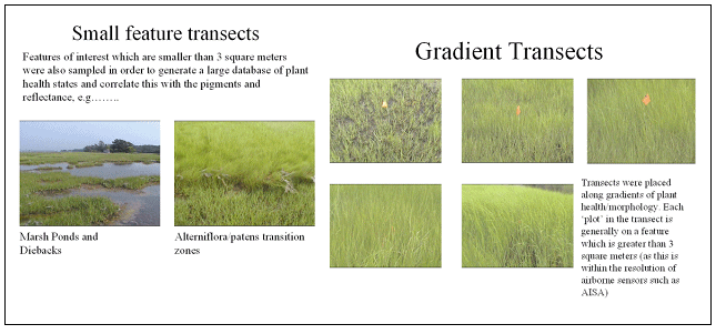 Examples of Marsh Habitats Selected for Stress Studies