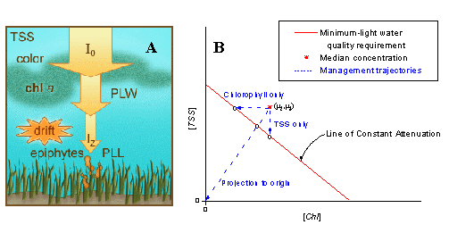 Conceptual Diagram of Light Attenuation Down the Water Column (PLW), and the Relative Contributions of Turbidity, Chlorophyll, and Color to Attenuation, Resulting in Significantly Reduced Light at Depth
