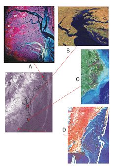 ACE INC Research Sites Include: (A) The Plum Island Estuary in MA, an NSF LTER Site