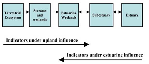 Conceptual Model for Purposes of Identifying Indicators