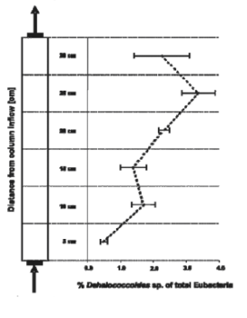 Figure 1. Relative Abundance and Spatial Distribution of Dehalococcoides sp. Over the Vertical Profile of Column 1.