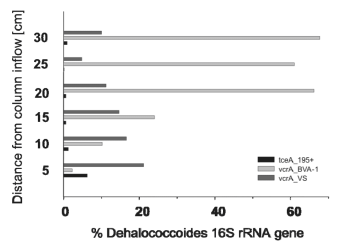 Figure 2. Relative Abundance of Selected Genes Catalyzing the Stepwise Dechlorination of Trichloroethene to Ethene on Bioreactor 1.