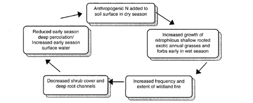 Figure 1. Schematic of the Positive Feedback Between Nitrogen Deposition, Fire, and Grass Replacement of Shrubs and the Hydrologic and Biogeochemical Changes That Ensue