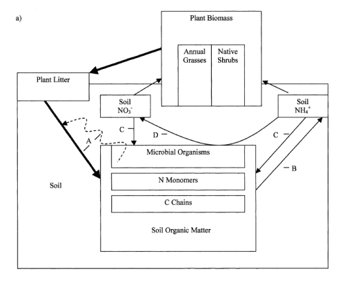 Figure 3. Illustration of Positive Feedback Between Grass Invasion and N Deposition