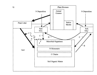Figure 3. Illustration of Positive Feedback Between Grass Invasion and N Deposition