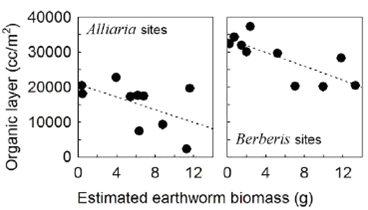 Figure 2. Correlations Between Mean Estimated Earthworm Biomass and Mean Soil Organic Layer Volume  Among Invaded and Noninvaded Habitats From five A. petiolata and five B. thunbergii Invaded Hardwood Forests.