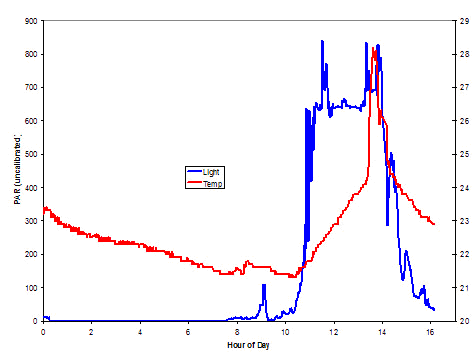 Figure 2. Temperature/PAR Logging by Mimic (Bench by Window)