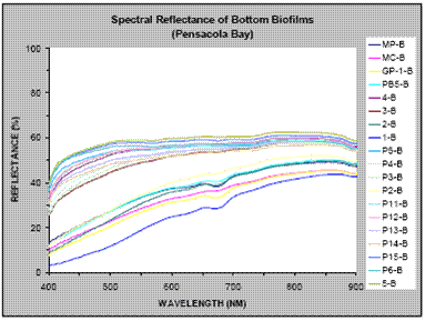 The spectral reflectance between 400 and 900 nm for 20 bottom and 34 surface biofilms deployed in different locations, in Pensacola Bay