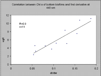 The result for both surface and bottom biofilms