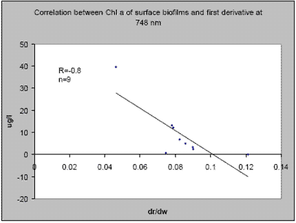 The result for both surface and bottom biofilms