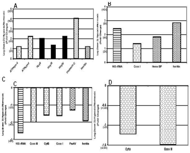 Fold Changes (log2(hypoxic/normoxic)) in Gene Regulation Measured by Macroarrays in Grass Shrimp Exposed to Chronic, Moderate (2.5 ppm DO) Hypoxia