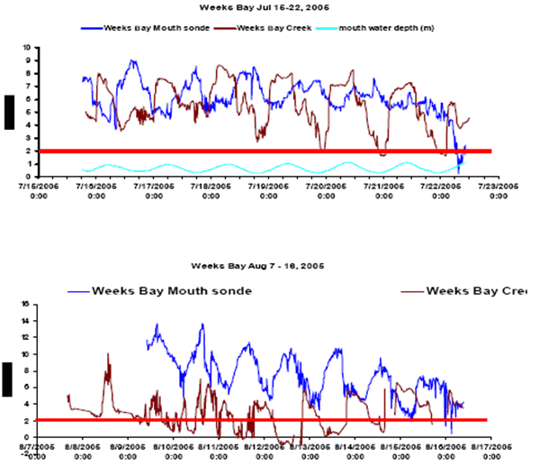 DO Profiles From Weeks Bay Sites During July and August 2006