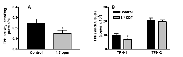 Hypothalamic TPH Activity (A), and TPH-1 and TPH-2 mRNA (B) Levels in Atlantic Croaker Chronically Exposed for 2 Weeks to Hypoxia in a Laboratory Study.