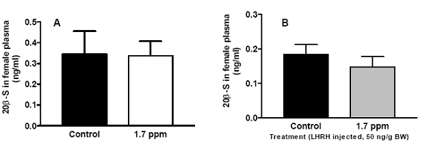Effect of Hypoxia on Plasma 20b-S (A), and Hypoxia + LHRHa on Plasma 20b-S Levels of Female Atlantic Croaker Chronically Exposed for 4 Weeks to Hypoxia in a Laboratory Study.
