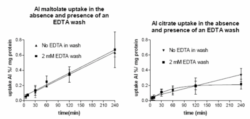 Figure 9. Time course of 8 mM Al citrate (left panel) and Al maltolate (right panel) uptake in Caco-2 cells in the absence and presence of an EDTA wash.