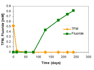 Microbial Defluorination of TFM by the Microcosms Established With Pristine Samples From Patagonia