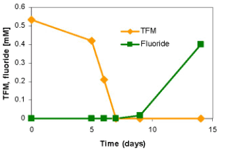 Microbial Defluorination of TFM by the BDI Consortium After Five Consecutive Transfers With TFM