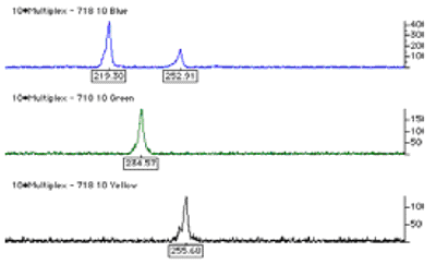 Figure 1. Example of a Multiplex Assay for Genotyping K. brevis.
