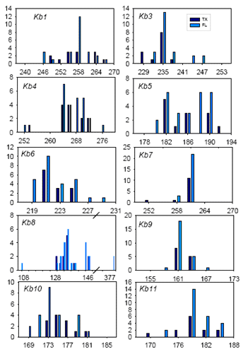 Figure 2. Allele Distributions at Each of the 10 Microsatellites Among 28 Clonal Cultures of K. brevis Isolated From Blooms Offshore of Texas and Florida