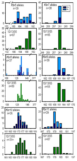 Figure 5. Distribution of Alleles at Six Microsatellites Among Established Cultures of K. brevis