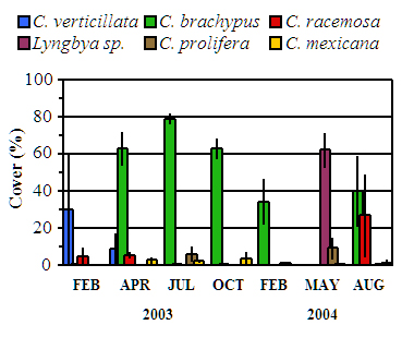 Biotic Cover of HAB Macroalgae at the NCL Site.