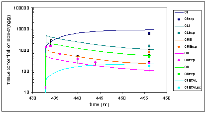 Figure 9. Comparison of Experimental to Simulated Data for Pregnant Female Rat and Fetus