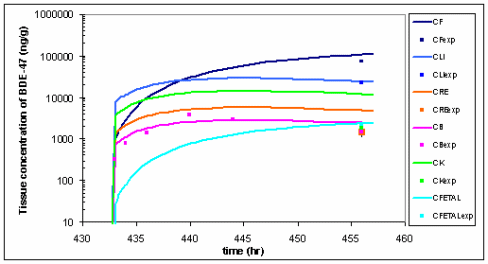 Figure 11-C. Simulation of BDE-47 Exposed at Different Times and Concentrations Corresponding to a Single 20 mg/kg dose at GD 18.