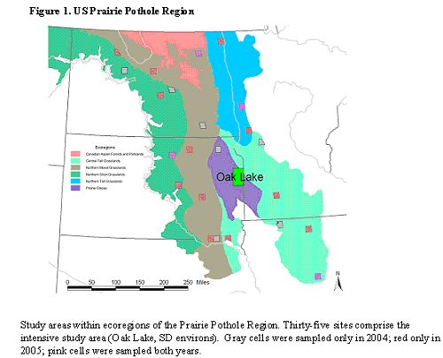Figure 1. US Prairie Pothole Region.